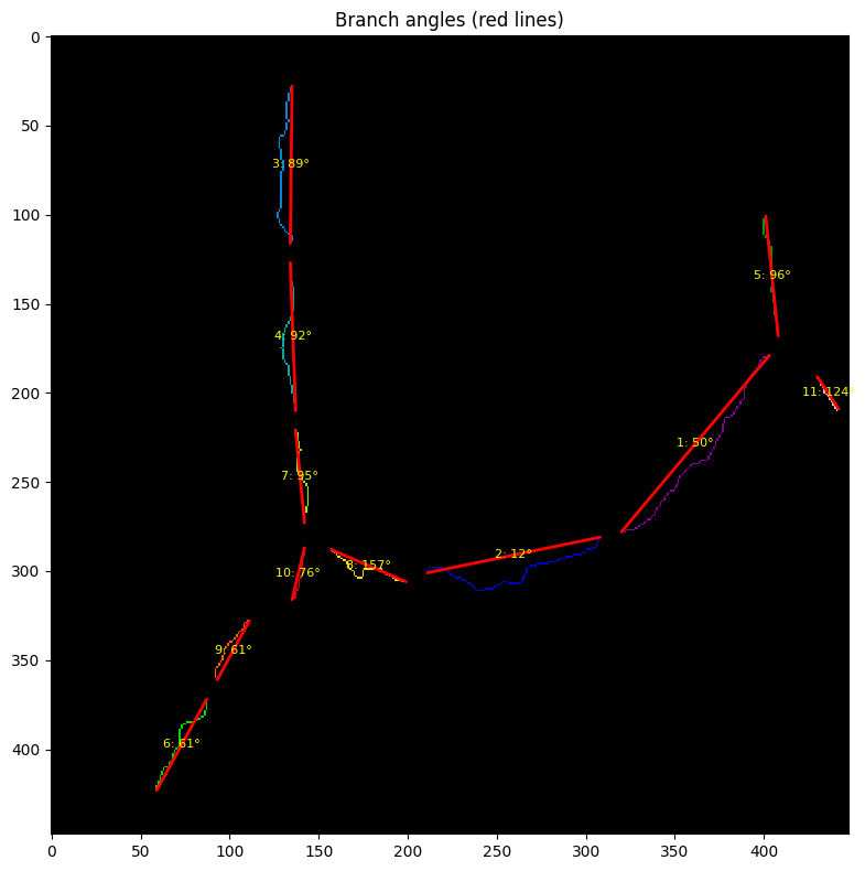 Estimated branch axes